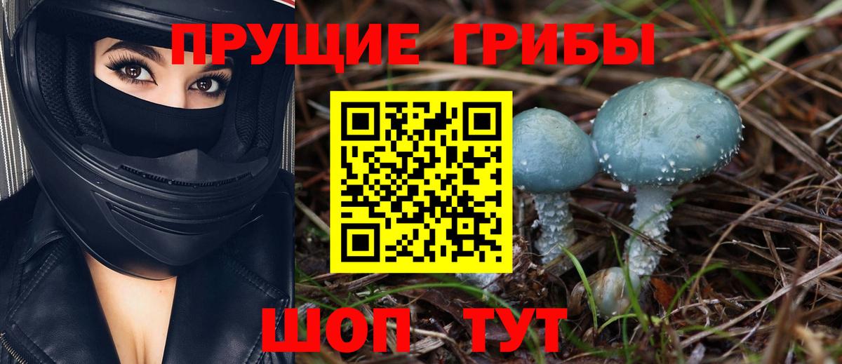 Галлюциногенные грибы ЛСД Чапаевск