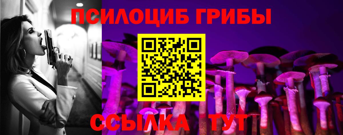 закладки  Вход с VPN  Псилоцибиновые грибы мицелий  Чапаевск  Галлюциногенные грибы Cubensis 